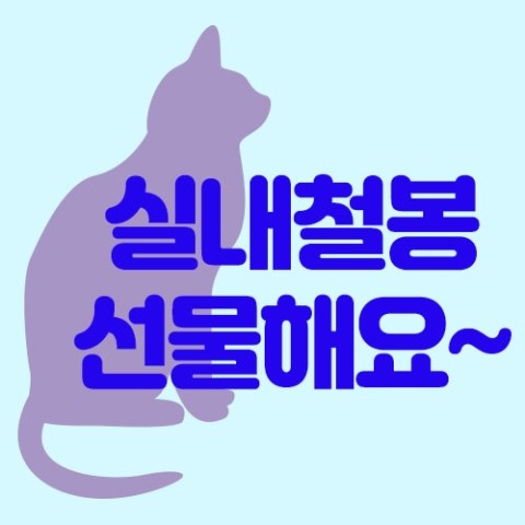  실내철봉 선물용으로 딱이래!