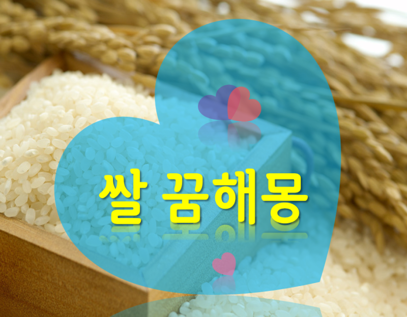 [쌀꿈 꿈해몽]쌀 주는꿈 받는꿈 얻는꿈 먹는꿈 쌓인꿈 들어오는꿈 주는꿈 사는꿈 가마니꿈 ....