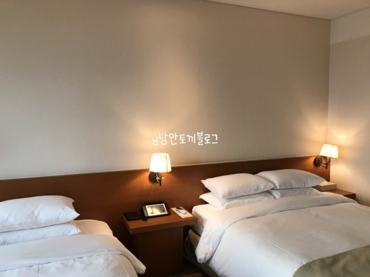  한 겨울 제주 : 제주 WE 호텔 5성급 (20190123)