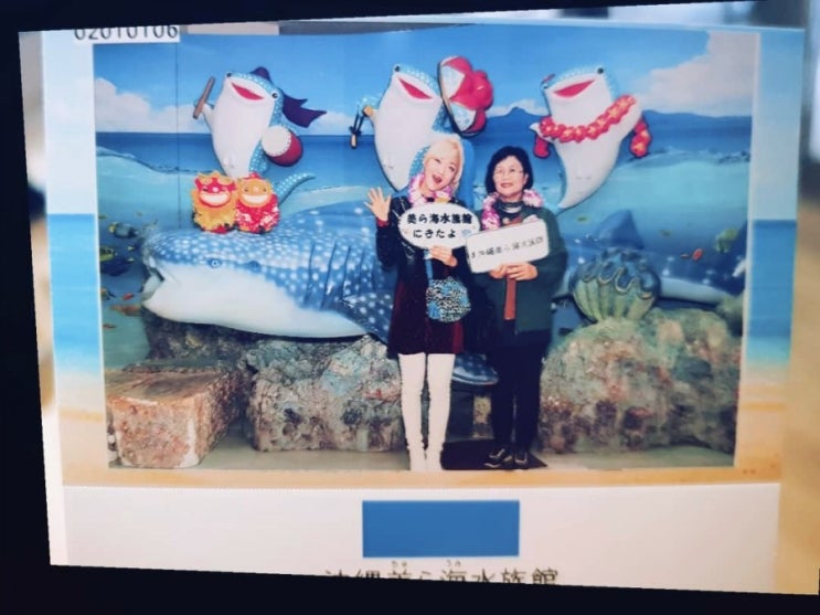  오키나와 2월여행 오키나와 여행코스 가볼만한곳 오키나와2박3일 츄라우미수족관 오키짱돌고래쇼  스테이크 맛집