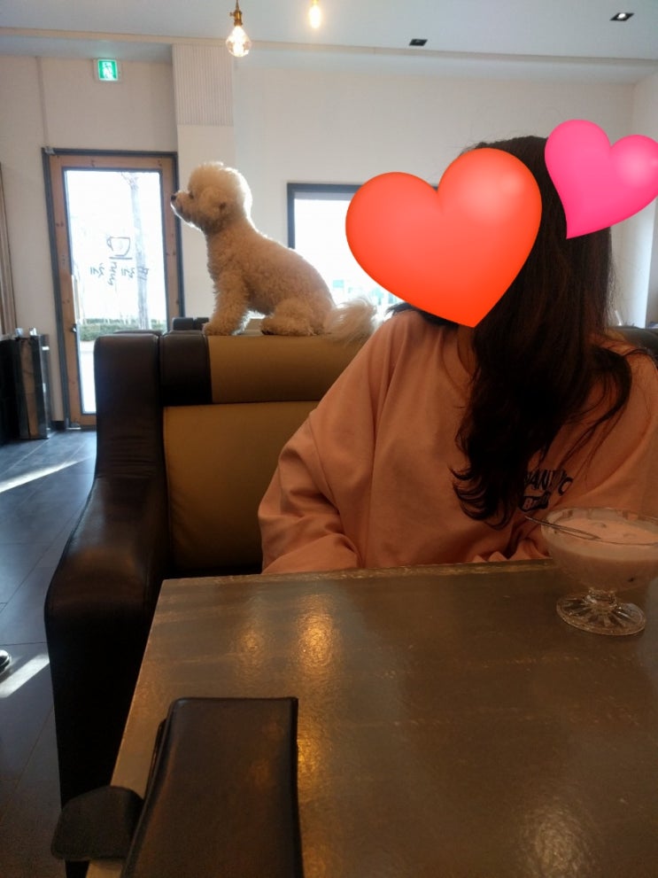  [대구 유성구] 이비가 짬뽕 유성 본점 + 뜨레돌체