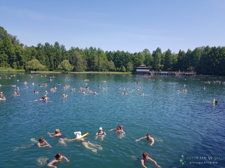 헝가리여행 헤비츠온천 호수에서 수영하는 것 자체가 온천욕