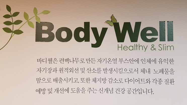  강남체형관리 바디웰 SNPE 척추교정운동 개인레슨 후기