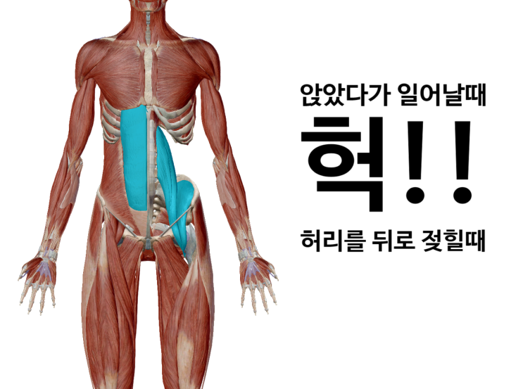 허리 삐끗했어요-요추 염좌(영통 새움한의원) 허리 삐끗했어요-요추 염좌(영통 새움한의원)