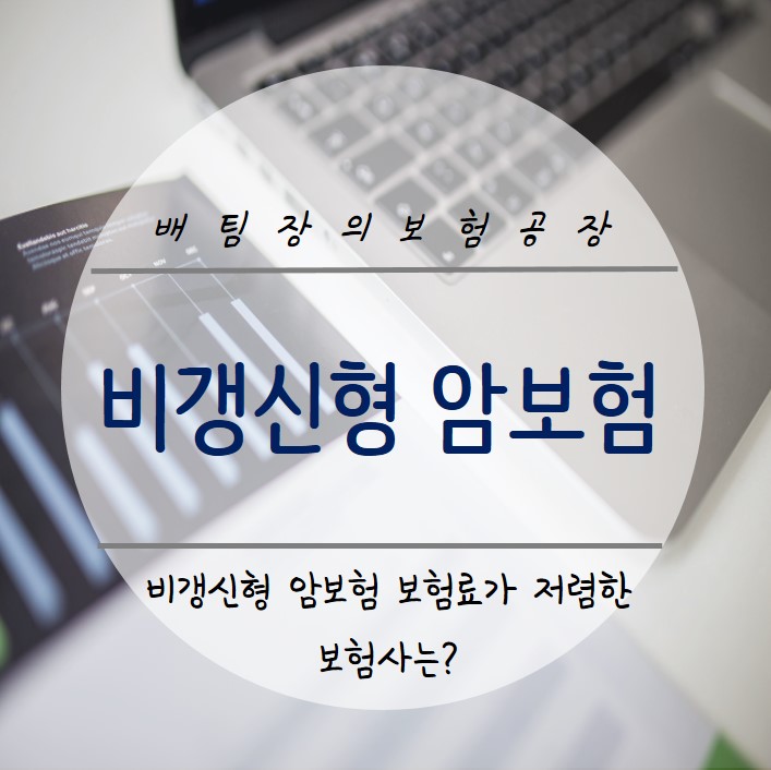  비갱신형 암보험 보험료 저렴한 보험사 추천드립니다.