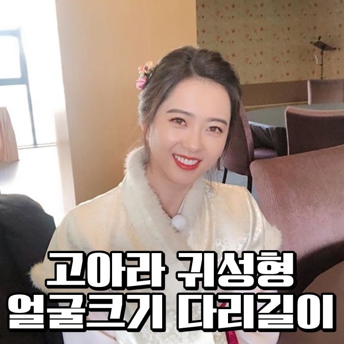 고아라 귀성형 얼굴크기 다리길이 데뷔땐