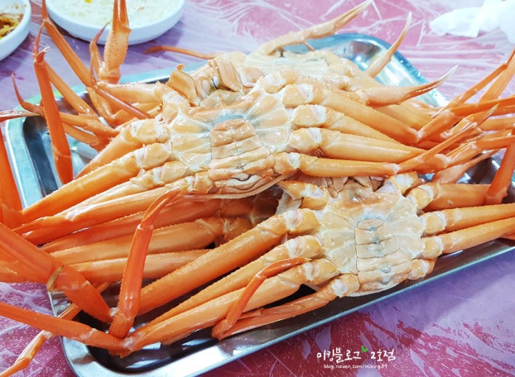  포항 홍게무한리필 울진왕돌초 가즈아