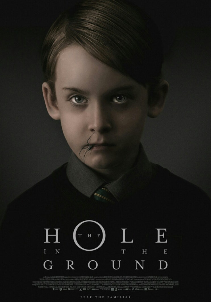 The Hole in the Ground (2019) 더 홀 인 더 그라운드
