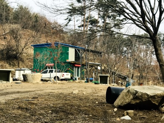  자연인, 김선영