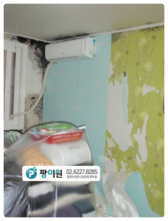  단열벽지? 곰팡이 피해가 있다?