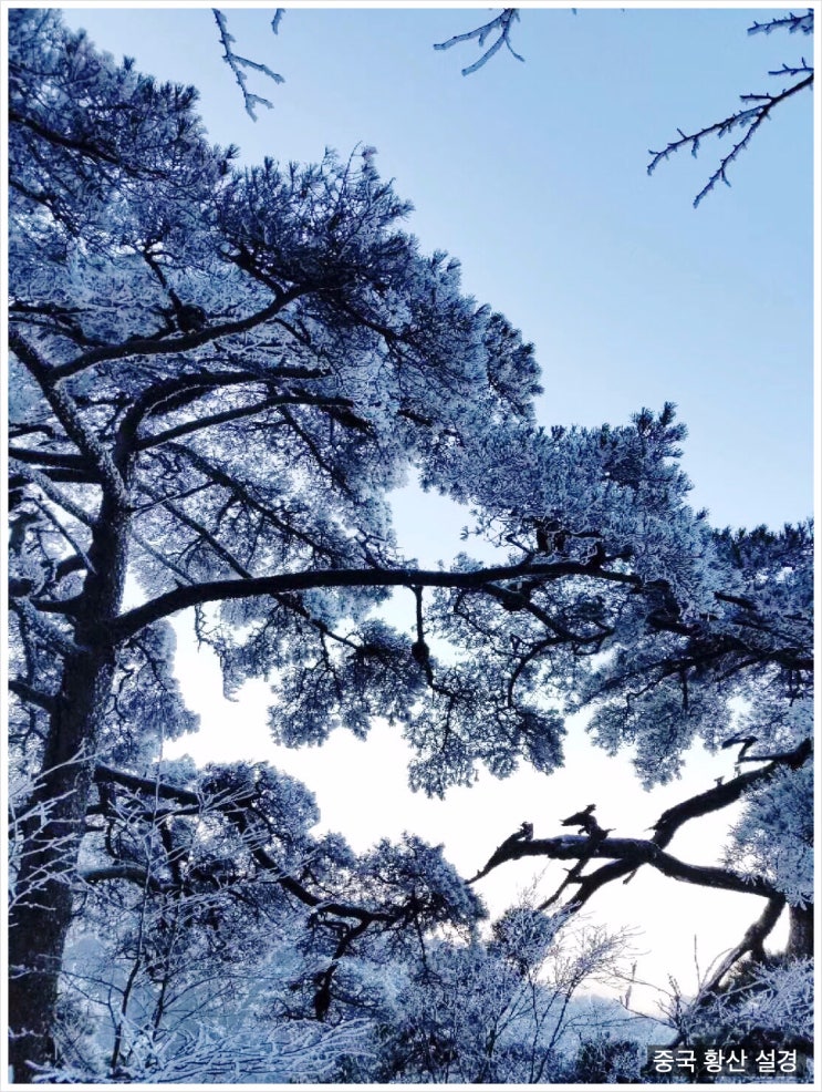  아름다운 중국황산 설경_광저우/심천/홍콩통역