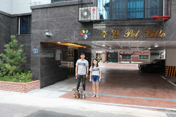  구해줘 홈즈! 상도동 협소주택,공릉동퍼즐주택 등 반려견주택 소개