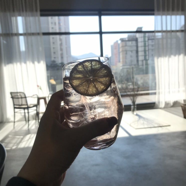  [2019년 1월] 장진우식당, 마이페이보릿쿠키, 아지도로보, 라운지커피, 영분의일, 서원시장, 호호닭발, OK암소갈비살, 뮤제카바농, 쎄임비
