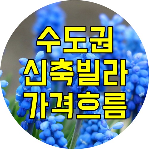  수도권지역 신축빌라 현장에서 느끼는 가격흐름