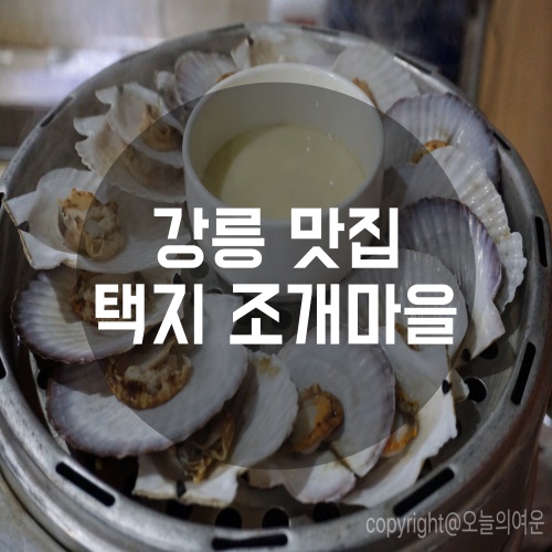 [강릉 조개마을] 강릉 조개마을에서 4단조개찜 부수기