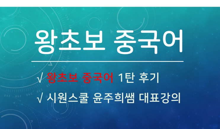  책 없이 공부한 시원스쿨 윤주희쌤 왕초보 중국어 1탄 후기