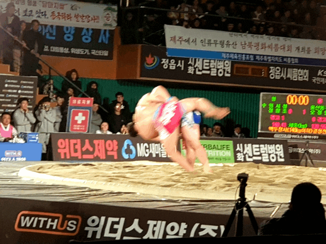  2019년 설날장사씨름대회 정읍시