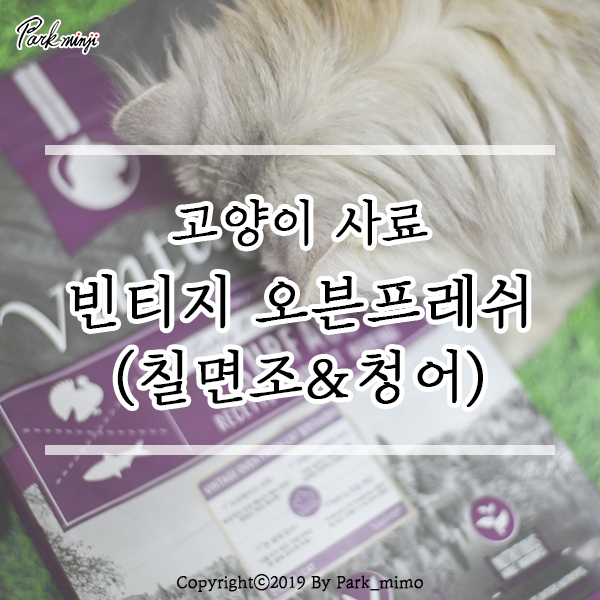  고양이 사료 추천, 빈티지오븐프레쉬 캣 칠면조&청어 ❤️