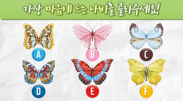  나비로 알아보는 심리테스트
