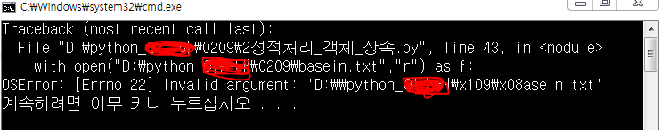  Python OSError : [Errno 22]Invaild argument