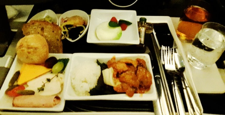  [탑승후기] 폴란드 항공 프리미엄이코노미 탑승② ( LOT Airline Premium Economy )