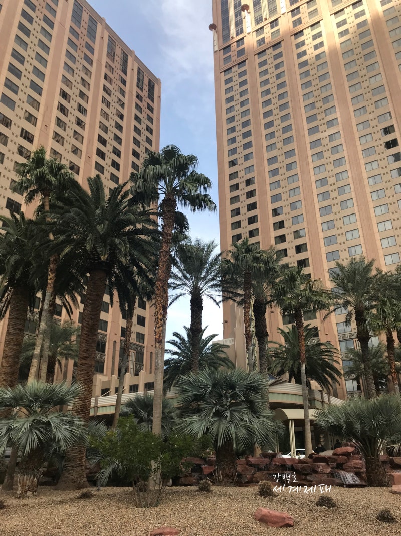 힐튼배케이션]라스베가스 힐튼 온더 스트립 (클럽 온 불러바드)/투 베드룸 : 네이버 블로그