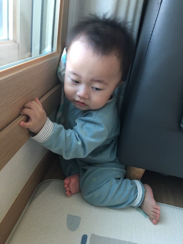 나무아빠의 육아일기(24)