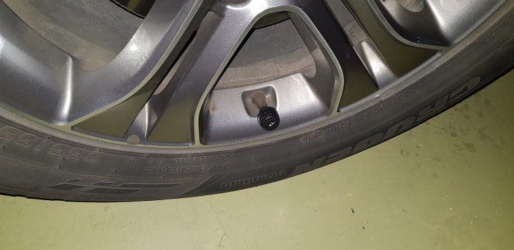  VISTURE TPMS 후기
