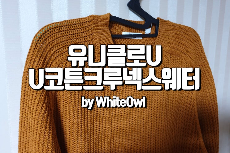  유니클로 u19ss U 코튼 크루넥 스웨터 (긴팔) 머스타드 후기 및 직구 방법