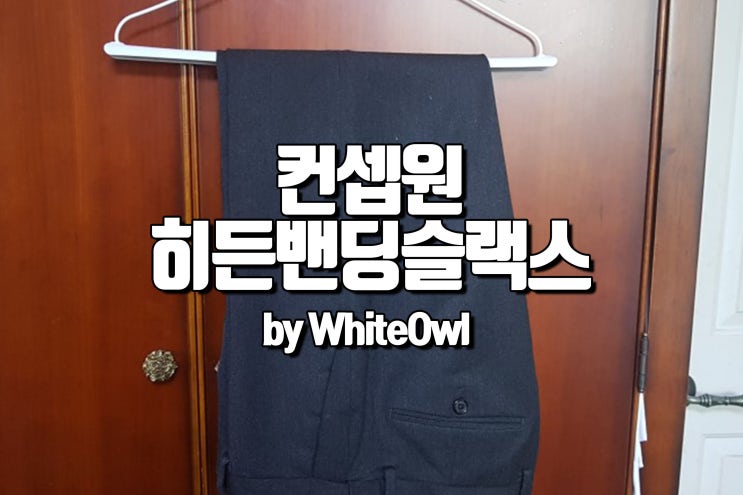  컨셉원 겨울 슬랙스 브러시드 슬림 핏 히든밴딩 슬랙스 사이즈 및 후기