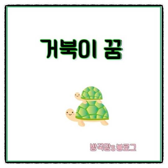  거북이 꿈 해몽