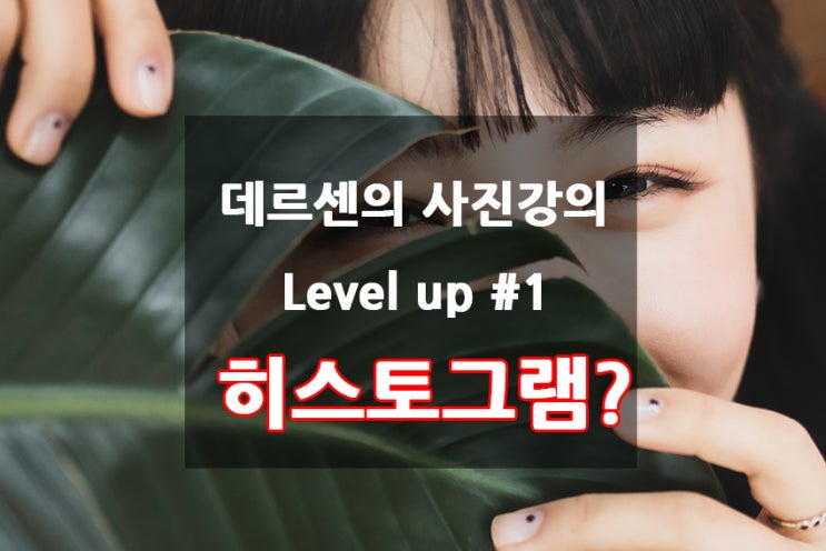  데르센의 사진강좌 - 히스토그램이란 무엇일까?