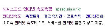  NIA 스피드 인터넷 속도 측정(스피드 테스트)