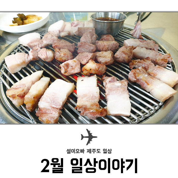  2월 제주 날씨 : 봄이 왔으면 좋겠다