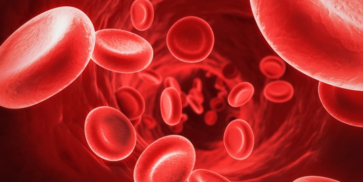 오메가3 - 혈액순환, 콜레스테롤, 두뇌활동, 혈전