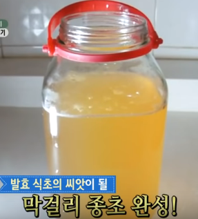  막걸리 종초만드는 방법공부.