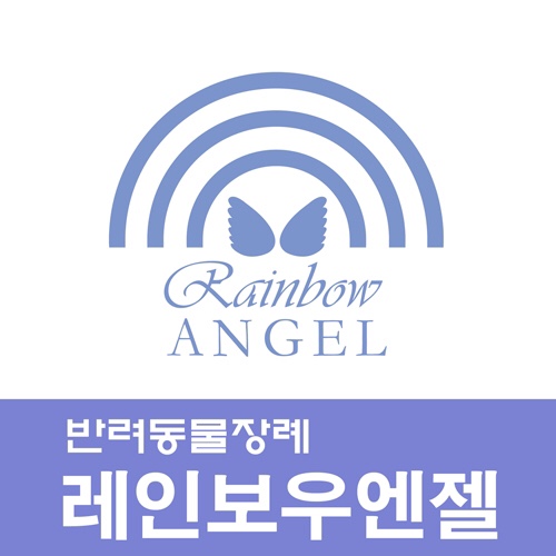  강아지장례업체[레인보우엔젤]광주 남양주 구리 하남 수원 안양 의왕 반려동물 장례는 왜? 광주 강아지 장례업체에서 치르는 걸까요?