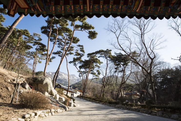 [서울 은평구] 항일승려 백초월을 기리며 - '진관사 태극기'와 '백초월길'