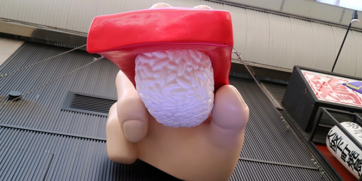 오사카 도톤보리 회전 초밥 맛집 겐로쿠스시가 오이시이데쓰 오사카 도톤보리 회전 초밥 맛집 겐로쿠스시가 오이시이데쓰