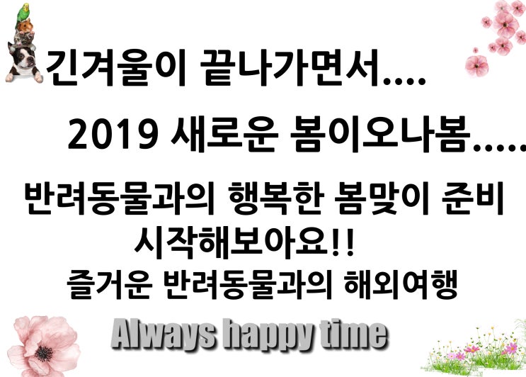  강아지검역 고양이검역 출국 입국 운송유럽,필리핀,미국,캐나다,외 전세계 서비스 부분별 선택적 서비스 ok