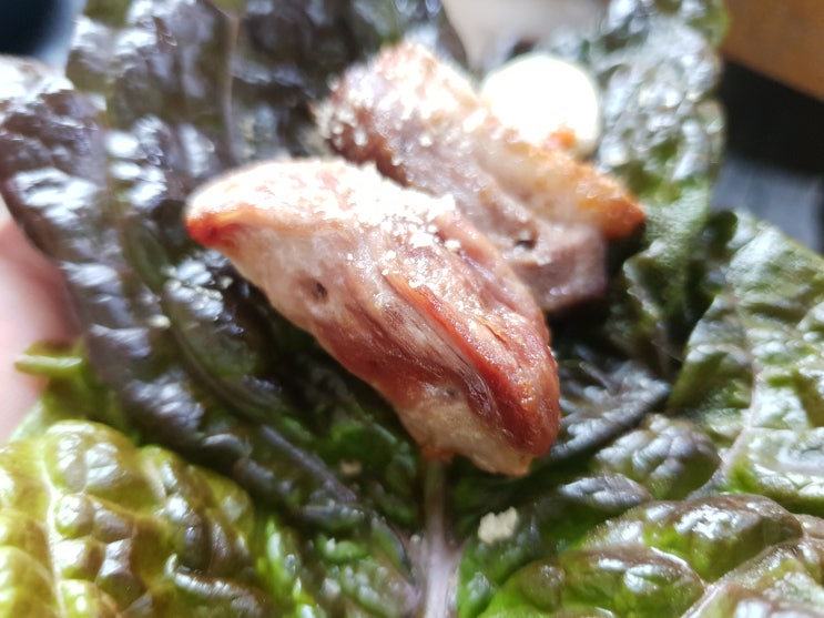  변산 격포항 맛집, 진도식당, 소문난조개구이&횟집, 들마루 순대국밥집, 하당 덕촌오리숯불구이