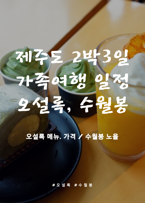  제주도 가족여행 2박3일 일정_1일차 /카멜리아힐, 오설록, 수월봉 오설록 메뉴 가격 , 수월봉 위치 제주도 노을보기 좋은곳