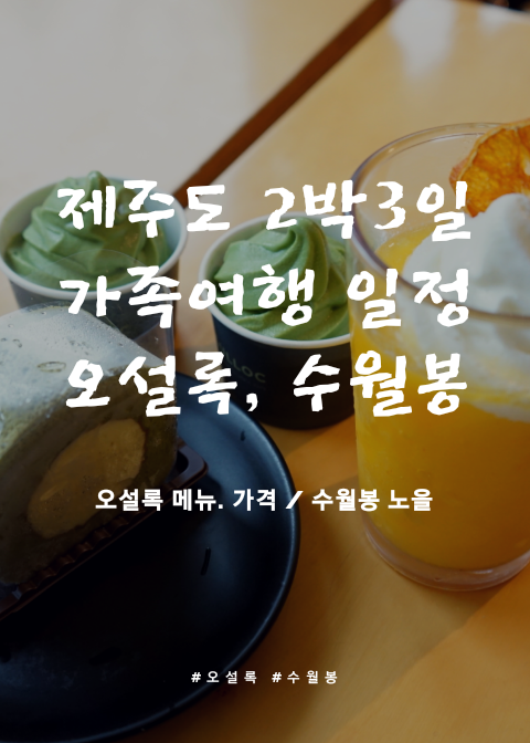 제주도 가족여행 2박3일 일정_1일차 /카멜리아힐, 오설록, 수월봉 오설록 메뉴 가격 , 수월봉 위치 제주도 노을보기 좋은곳