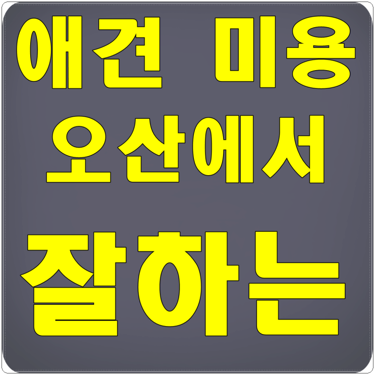  오산 애견미용 어디로 가볼까나요?