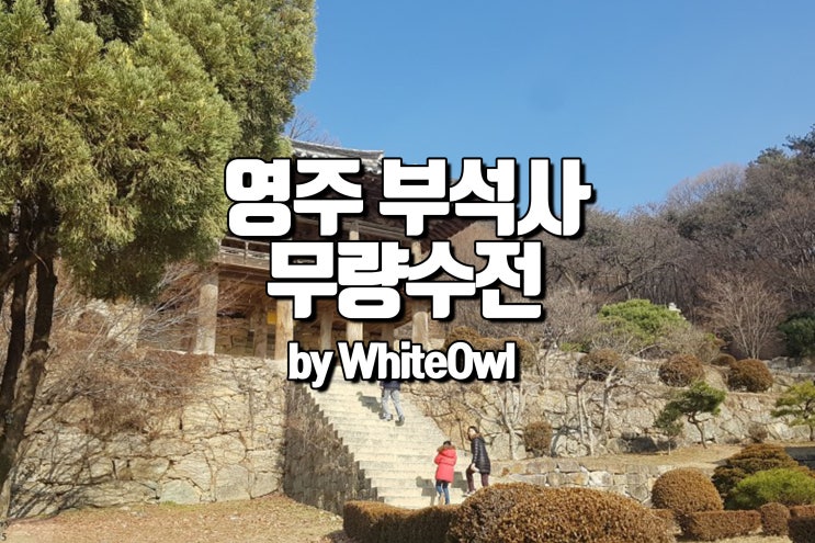  영주 가볼만한 곳 여행 부석사 겨울 무량수전 배흘림기둥에 서 보다