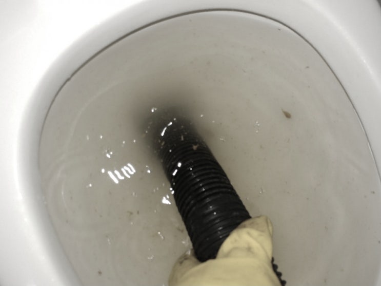  아이가 변기에 치약을 넣었는데 어떻게 해야 할까요?