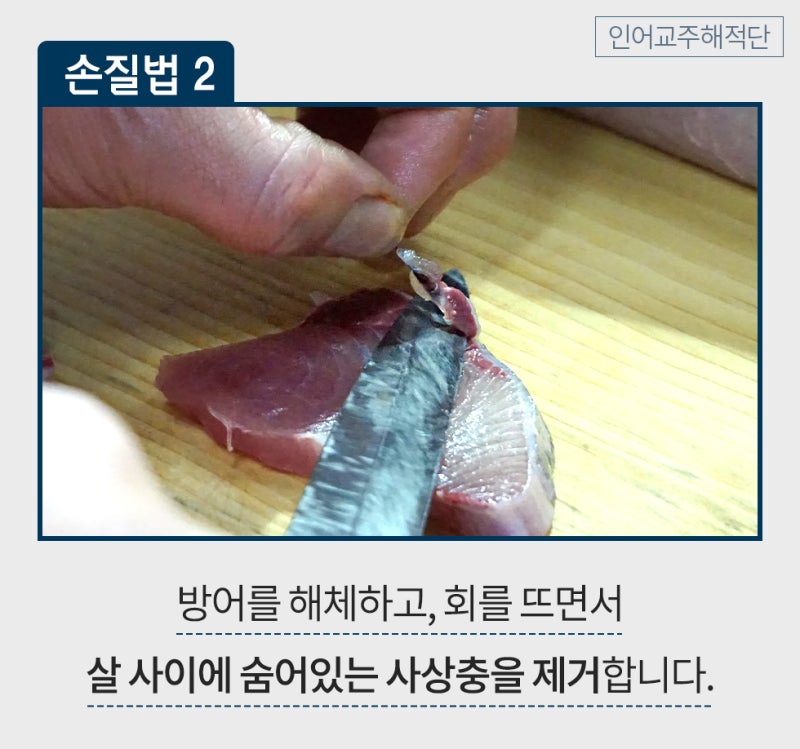 주의해야 할 공포의 기생충 -1탄(방어사상충, 엑시구아 등) : 네이버 블로그