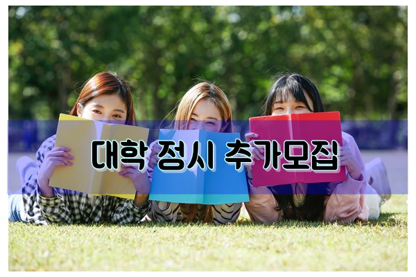 2019 대학교 정시 추가모집 2019 대학교 정시 추가모집