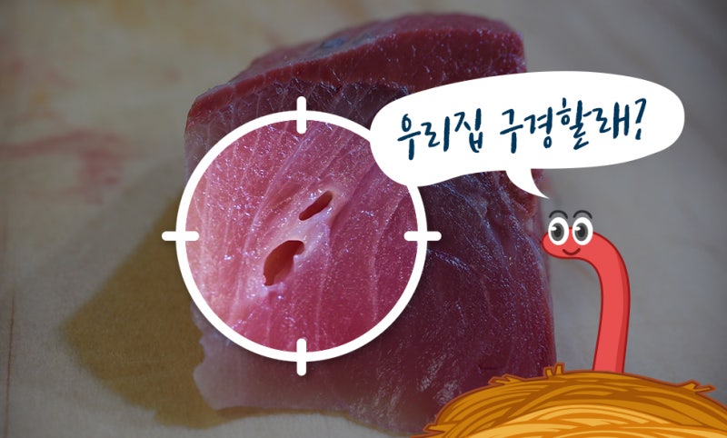 주의해야 할 공포의 기생충 -1탄(방어사상충, 엑시구아 등) : 네이버 블로그