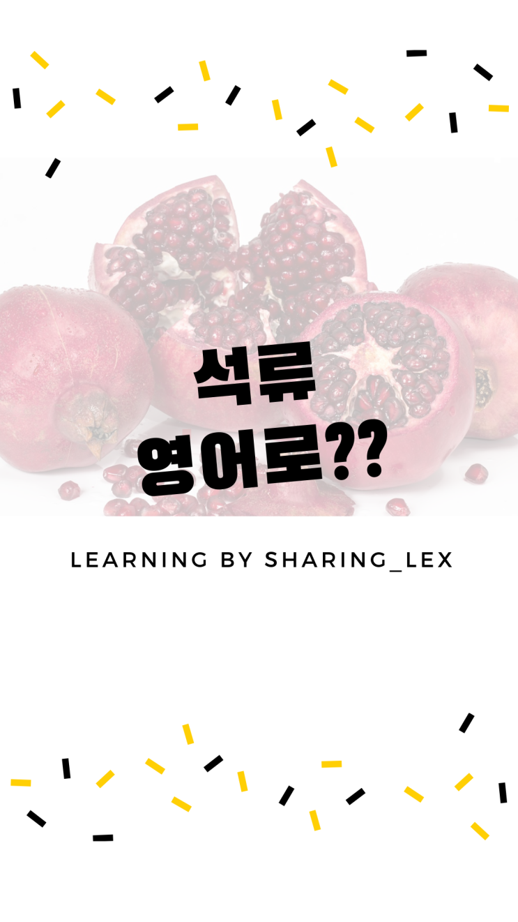  미녀는 석류를 좋아해~ 석류는 영어로?